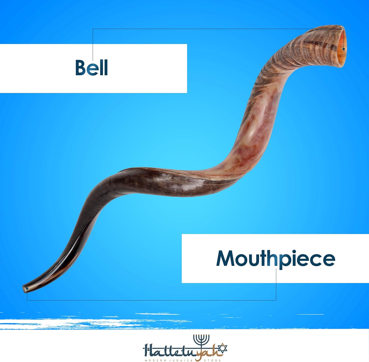 HalleluYAH Original Kosher Half-Polished Kudu Shofar From ISRAEL