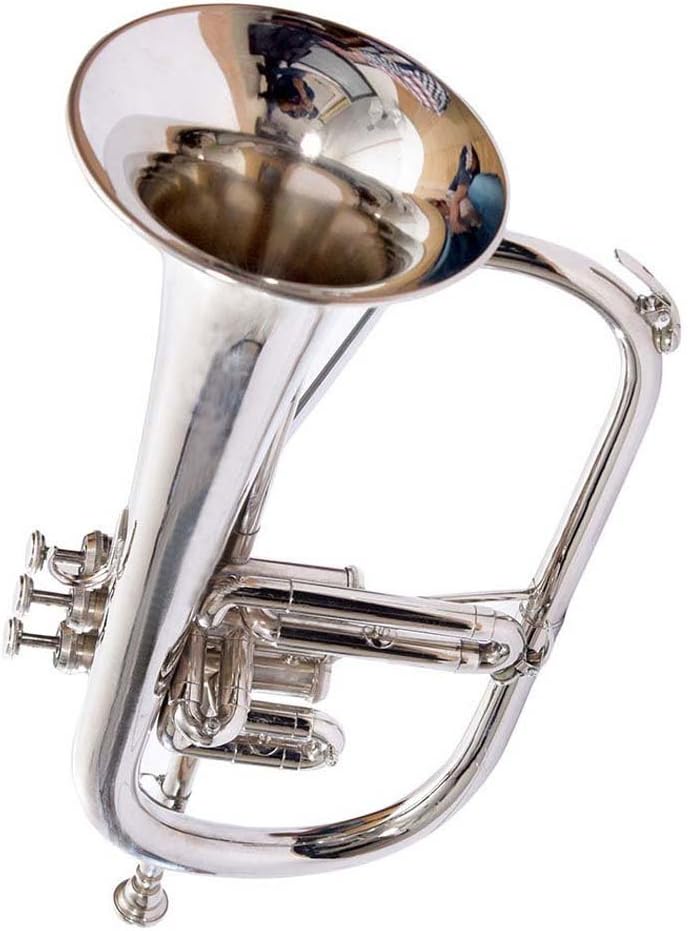 Flugelhorn Pro Professional brass chrome plated SCX985