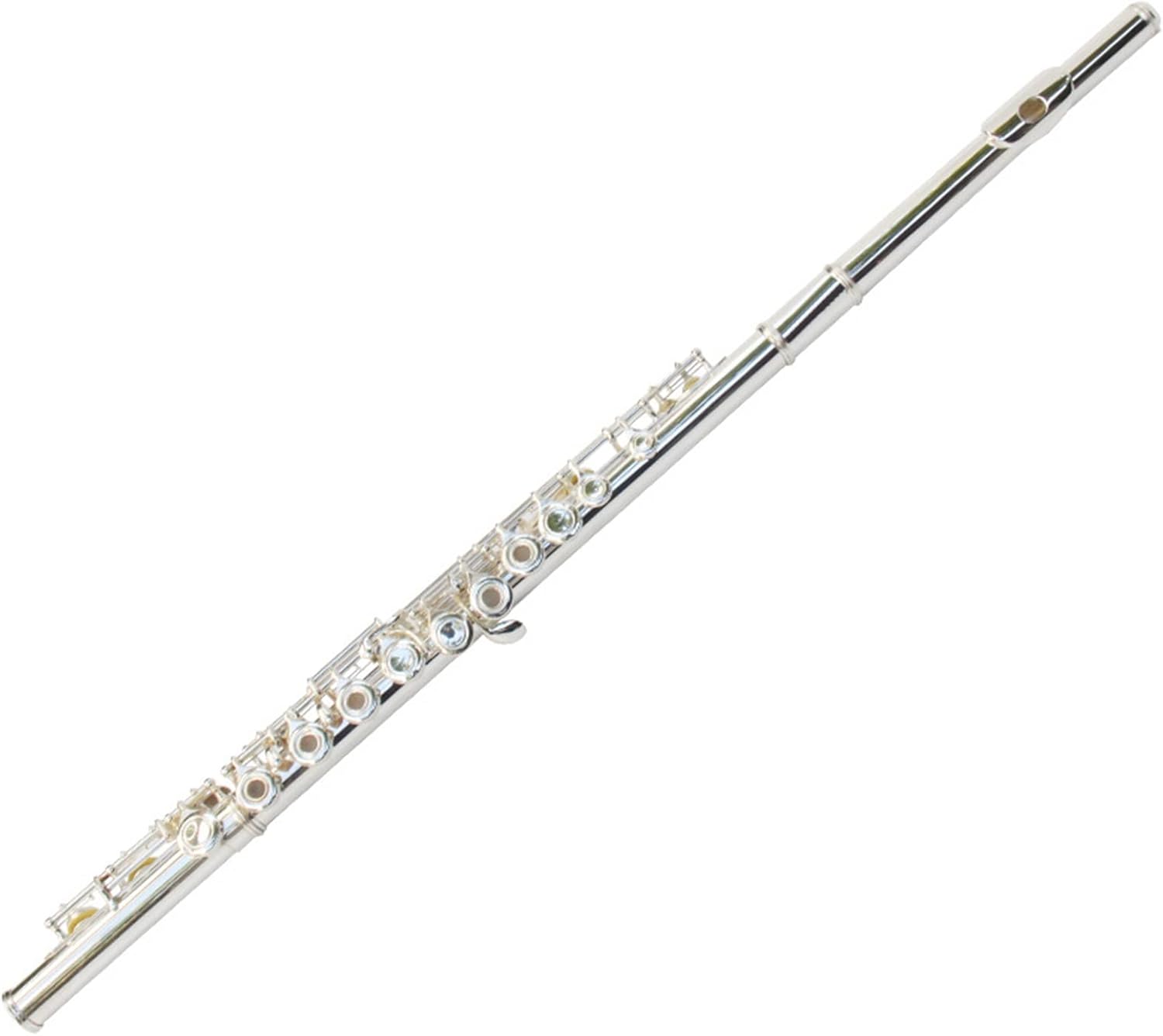 Flutes Musical Instrument 16-Hole Flute with E Key and Key of C Key with Open Hole and Key Tune, Silver-Plated Wind Instrument