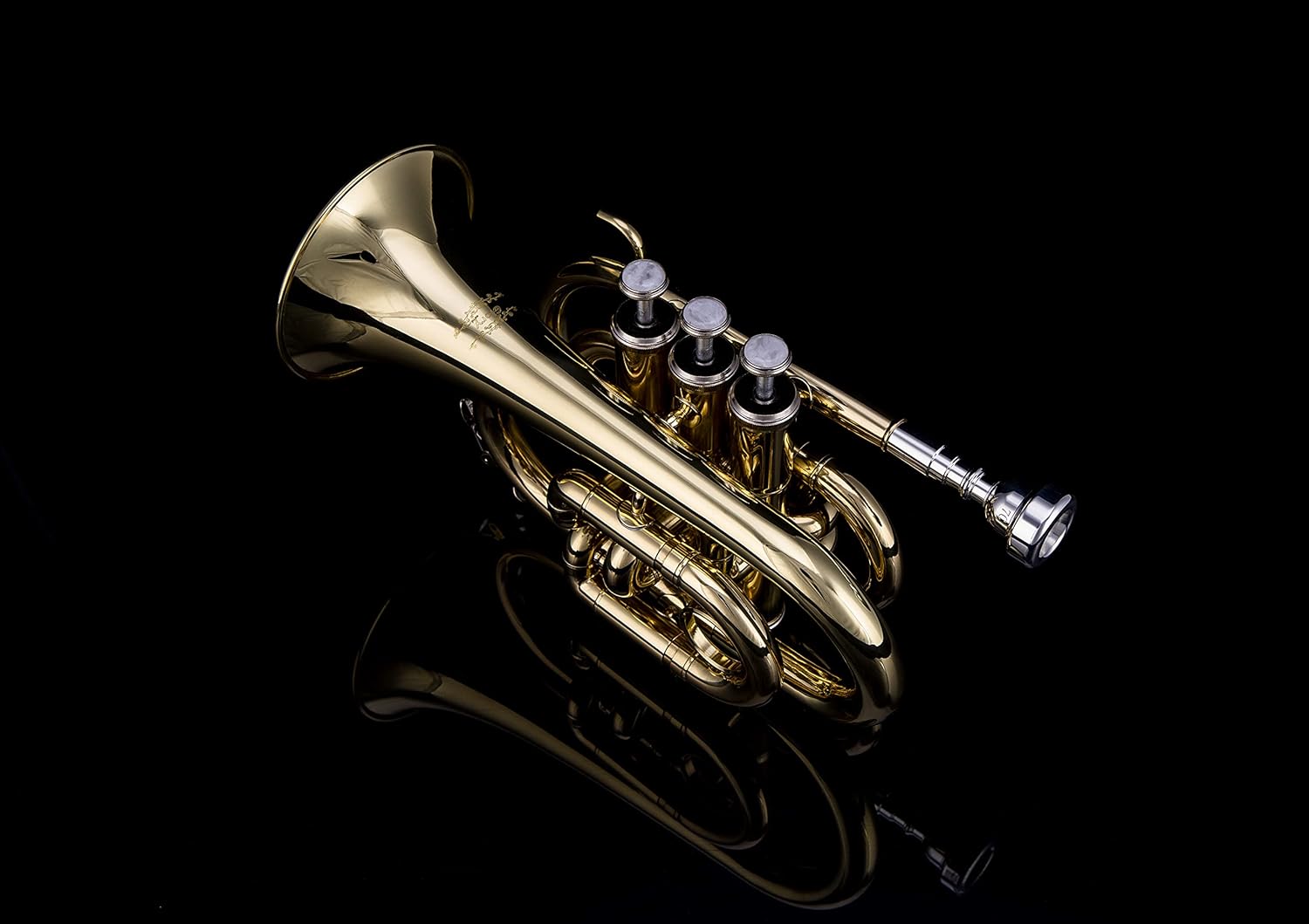 Glory Bb Pocket Trumpet with Case, Cleaning Cloth, Gloves, Gold Lacquer (LAQUER)