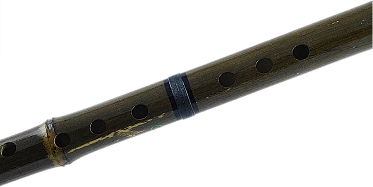 Chinese Bamboo Flauta Xiao Vertical Wind Musical Instruments Huilu Flute 8 Holes G/F Key with Accessories (Color : F)
