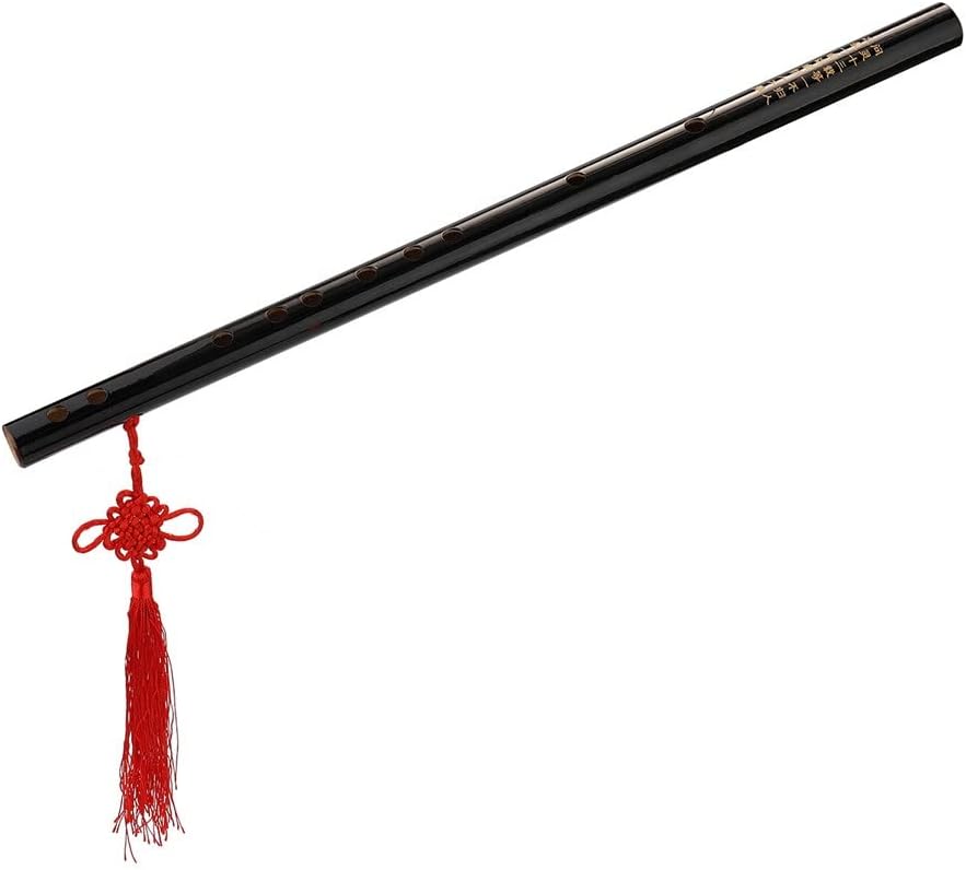 Flute Woodwind Musical Instrument Beginner Learner Student Practice Training Traditional