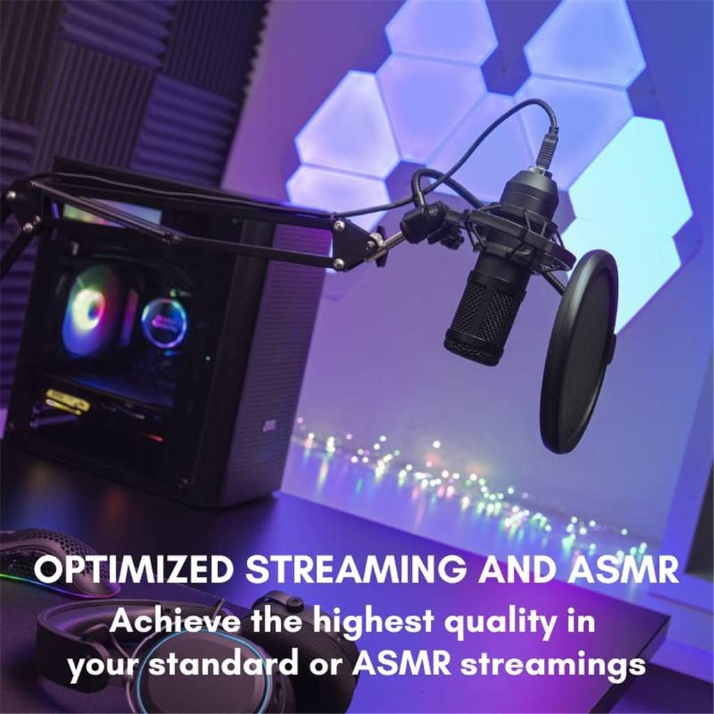 Microphone Professional Condenser Streaming HD PC Microphone with Dual Capture Filter, 5 in 1 Kit Black