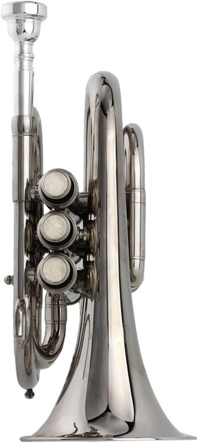 TSTS B-Flat Silver-Plated Pocket Trumpet Bb Silver Palm Size Brass Nickel-Plated Cornet Wind Instrument Pocket Trumpet Beginners
