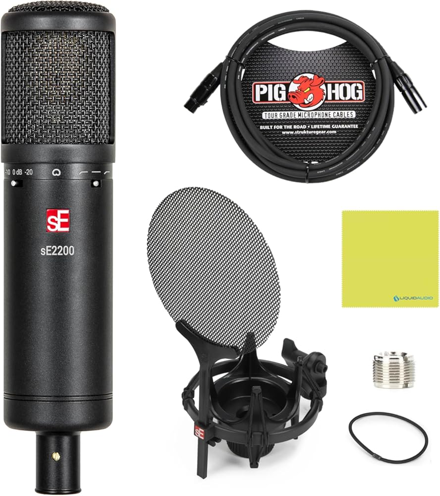sE Electronics sE2200 Large-Diaphragm Condenser Microphone Bundle w/Pig Hog PHM10 8mm Mic Cable Polishing Cloth