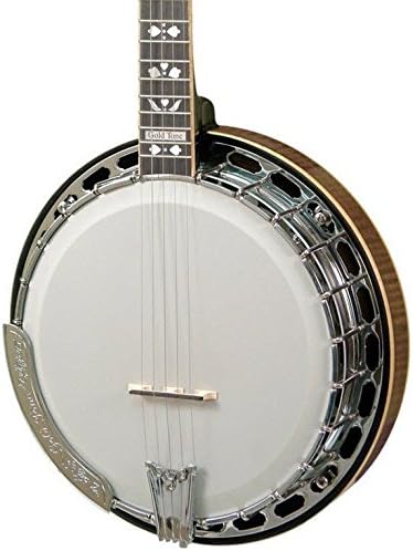 Gold Tone Orange Blossom 5-String Archtop Banjo w/Hard Case