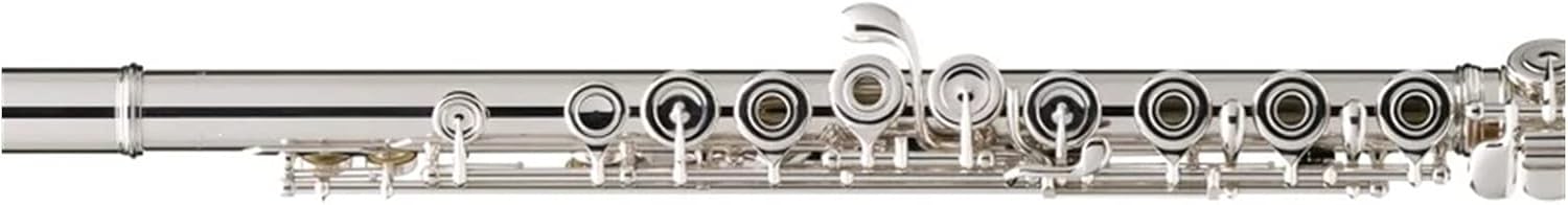 Flute Silver Plating 17 Holes C Flutes Key Woodwind Instrument Padded Flutes (Color : Silver)