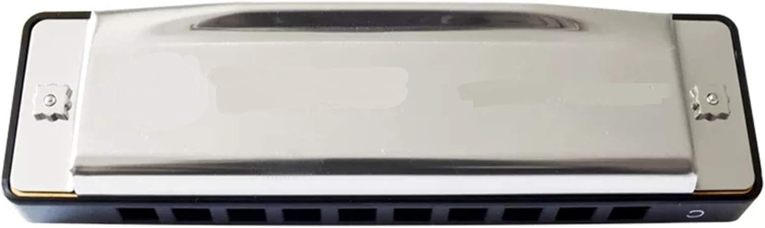 SUOFEILAIMU Diatonic Harmonica 10 Hole Blues Harp Brass Mouth Organ Key of C ABS Comb Professional Musical Instruments (Color : Key C)