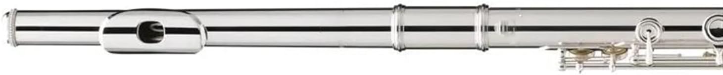 Woodwind Flute Silver Plated 17 Key Flute Hole Instrument