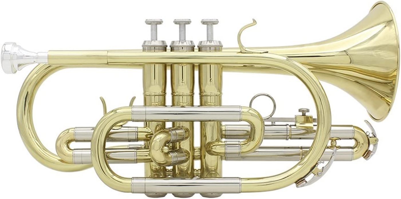 KESHUO Professional Bb Flat Cornet Brass Instrument with Carrying Case Gloves Cleaning Cloth Brushes Trumpets