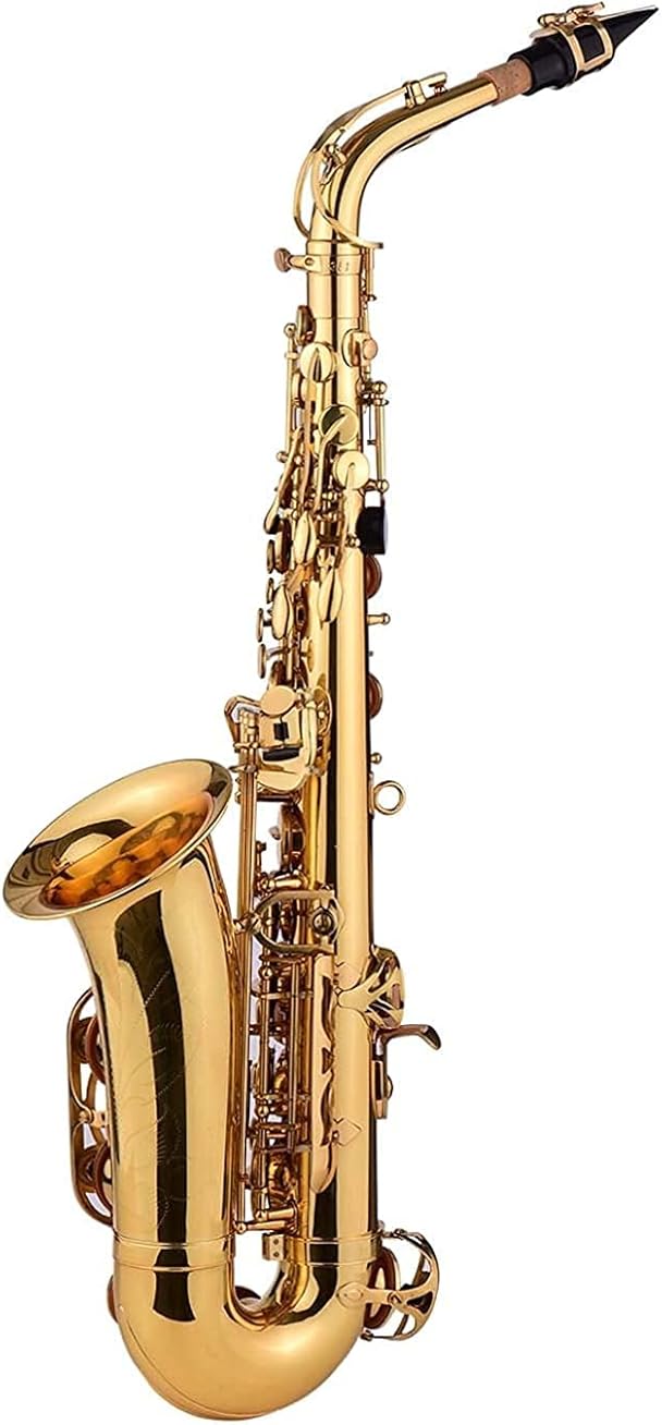 Golden EB Alto Saxophone Sax Brass Body White Shell Keys Woodwind Instrument with Carry Case Gloves Cleaning Cloth