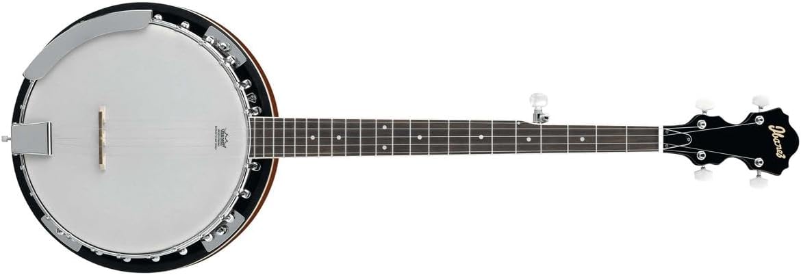 B50 5-String Banjo