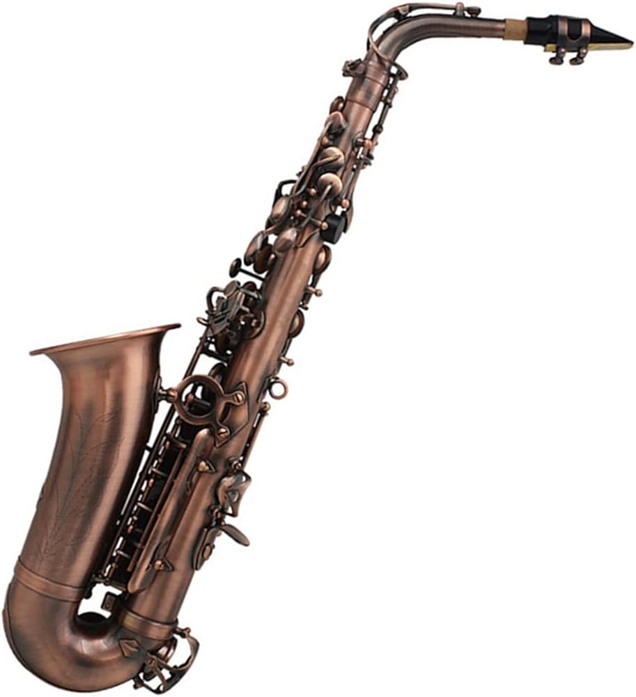 Professional EB Alto Saxophone Brass E Flat Sax Musical Woodwind Instrument with Accessories
