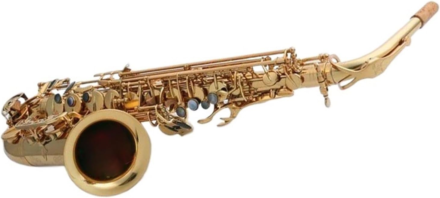 VBDEFRT Woodwind Instruments Old Lacquer Brass Professional Alto Saxophone Sax Musical Instrument (Color : Leather bag)