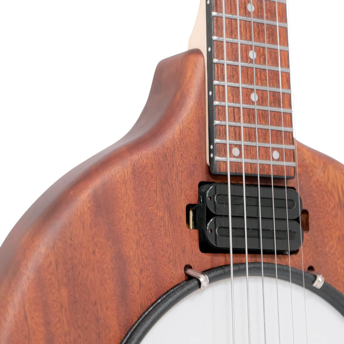 Gold Tone EB-6 Electric Banjitar