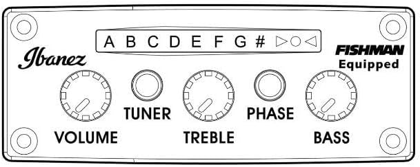 Ibanez AEWC32FM - Amber Sunset Fade