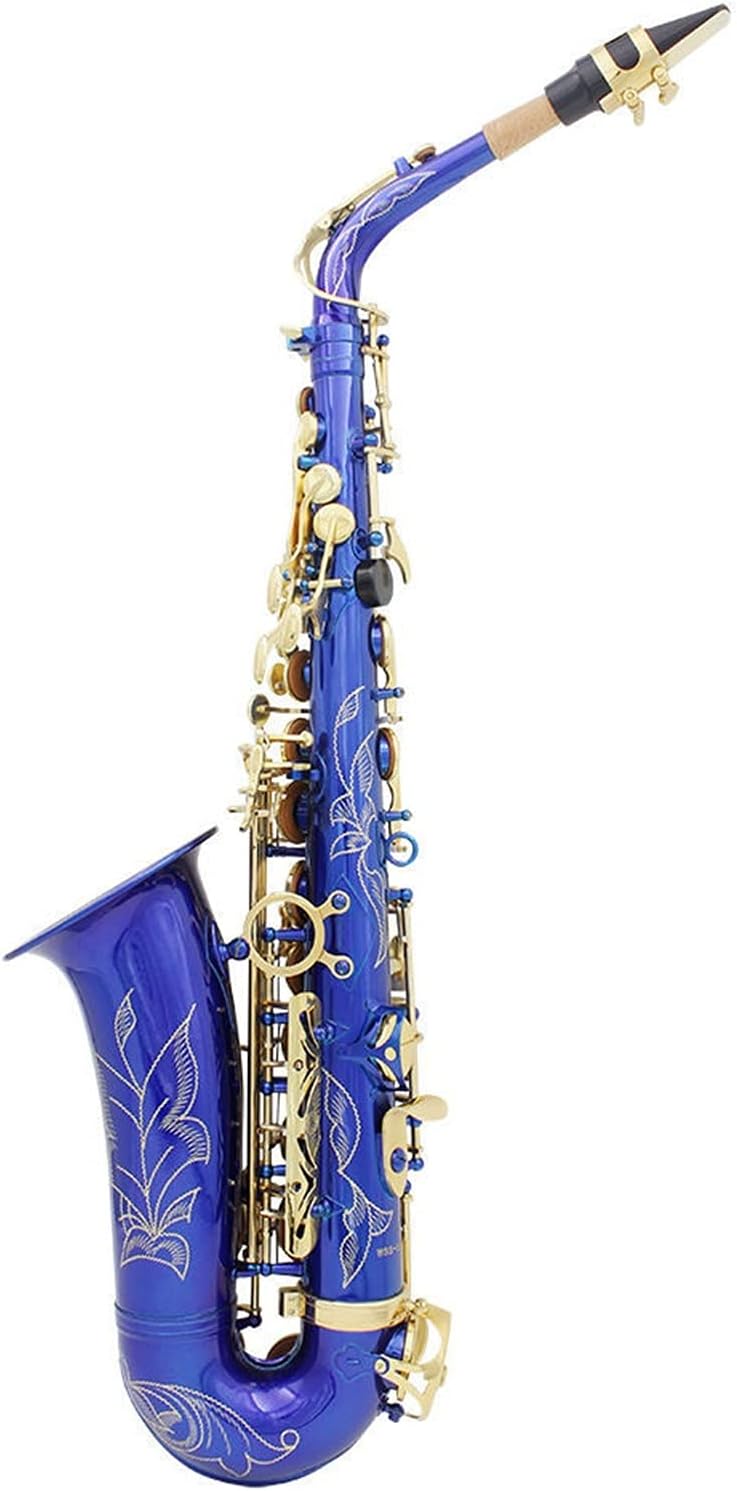 KESHUO E Flat Alto Saxophone/Wind Instrument Adult Entry Test Saxophone Brass Sax Beginners Kit