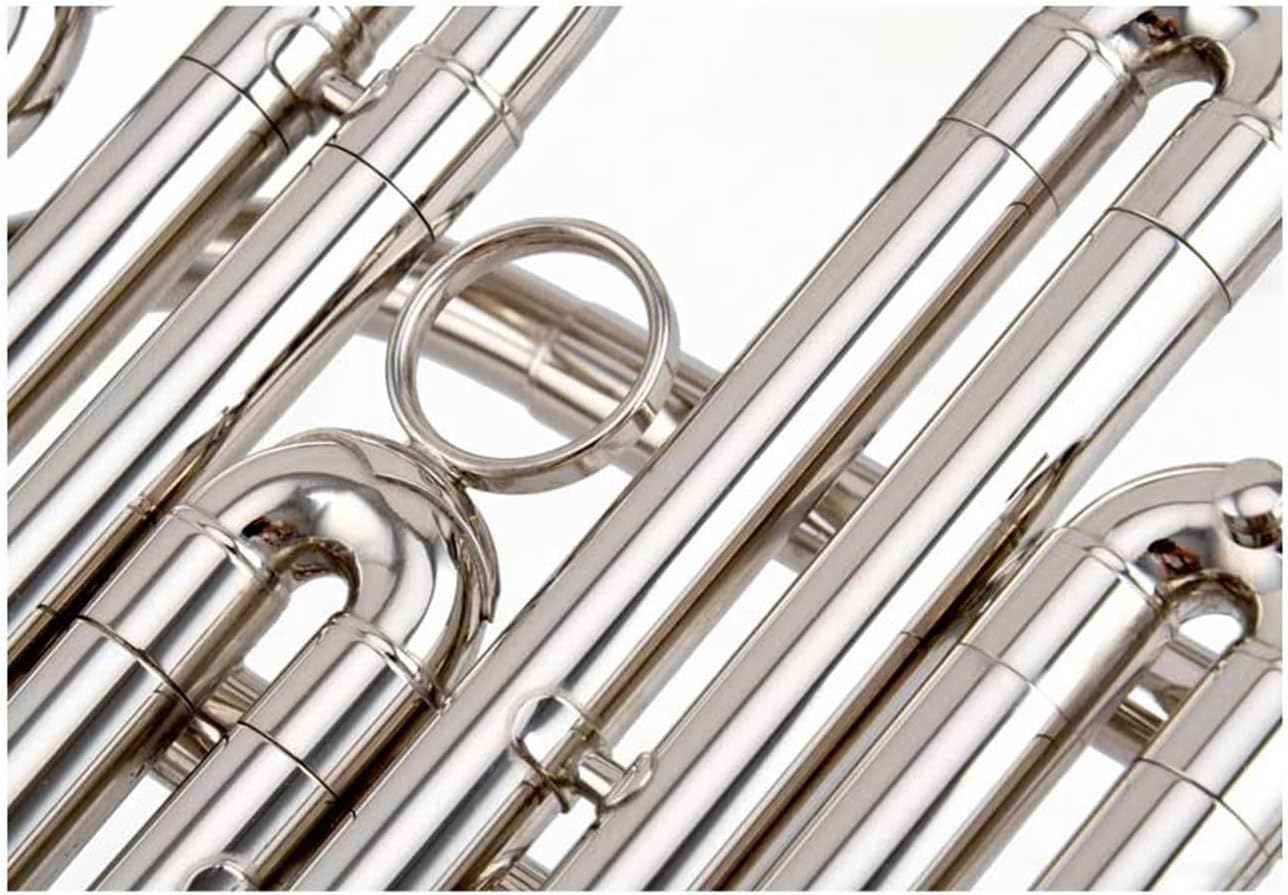 Brass French Horn Wind Instrument French Horn B Flat Tonality Four-key Single French Horn Practice Instrument Gold(Color:Silver)