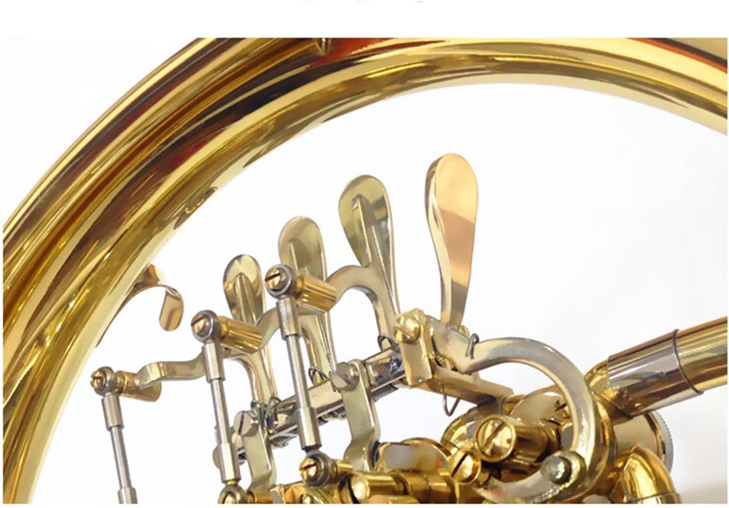 Brass French Horn French Horn Instrument B Flat Removable French Horn Four-button B Flat/F Single French Horn