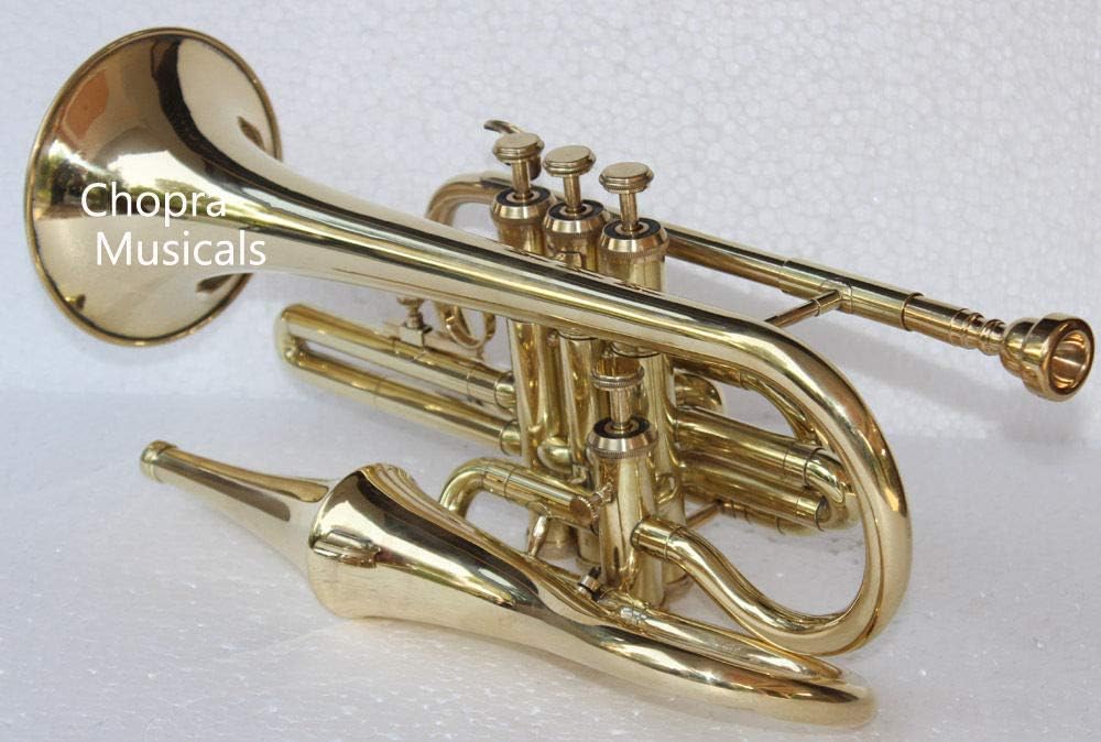 SALE SALE SALE GIFT Brass 4 Valve Brass Echo Cornet Brass Finish W/Case Gold
