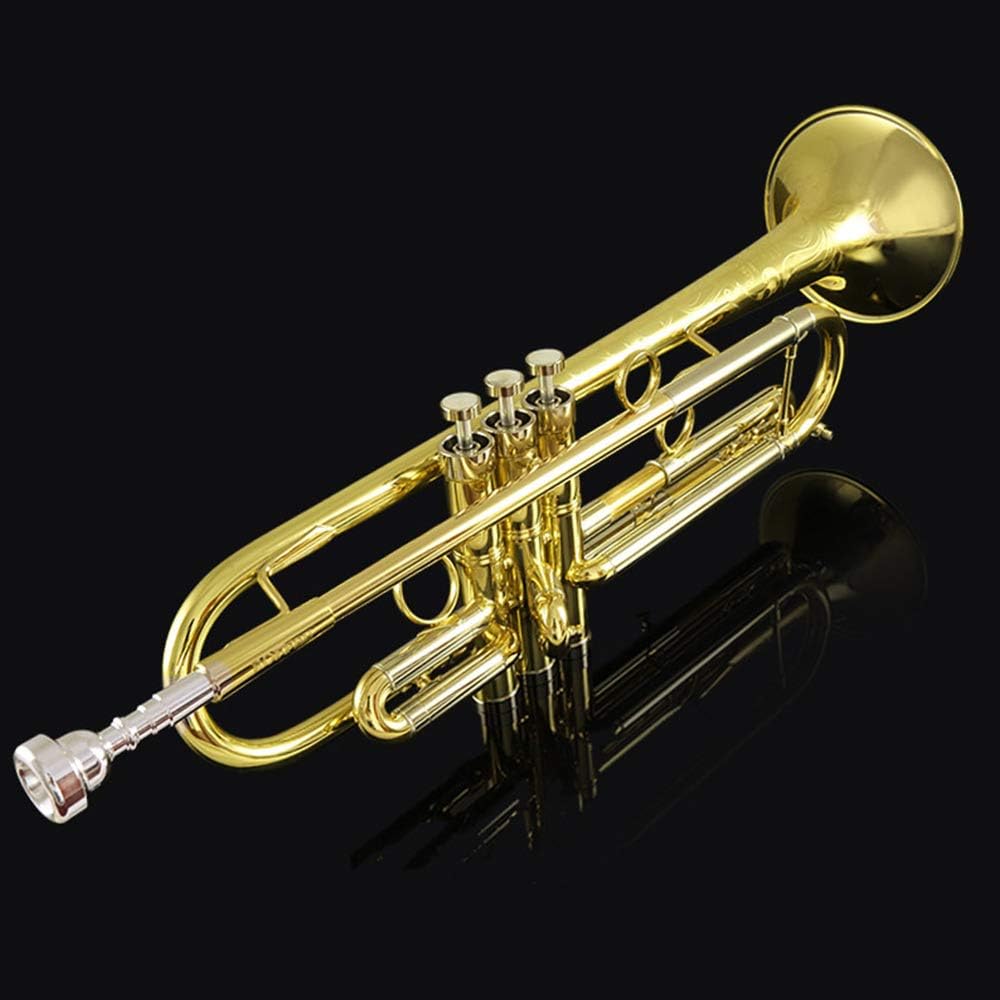 S50 beginner student level brass body gold lacquer Bb tone trumpet
