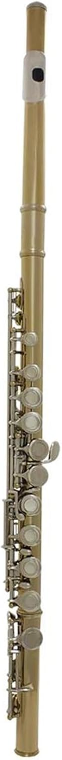 Woodwind Musical Instrument 16 Closed Holes C Key Golden Silver Professional Flute Concert With Box