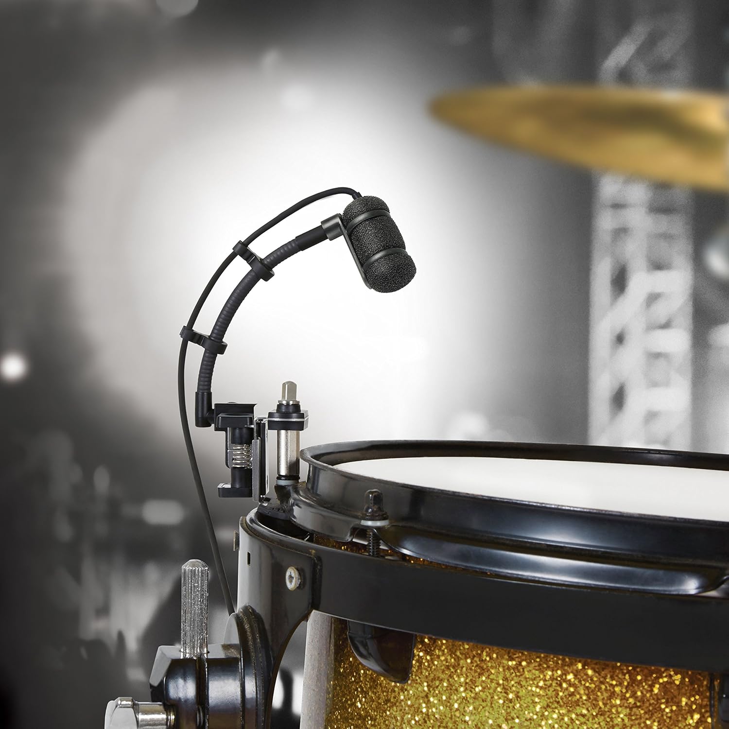 Audio-Technica Cardioid Condenser Microphone Cardioid Condenser Instrument Microphone (ATM350D)