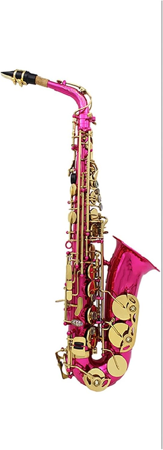 Brass Engraved EB E-Flat Alto Saxophon Sax Abalone Shell Buttons Wind Instrument with Case Gloves Cleaning Cloth Belt Brush Student Saxophone (Color : Pink)