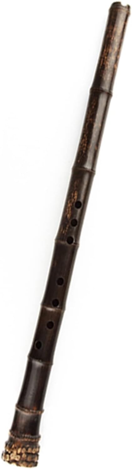 TSTS Chinese Bamboo Flute G/F Key Vertical Traditional Handmade Woodwind Musical Instrument Two Sections Purple Bamboo Flute Nanxiao (Color : G)