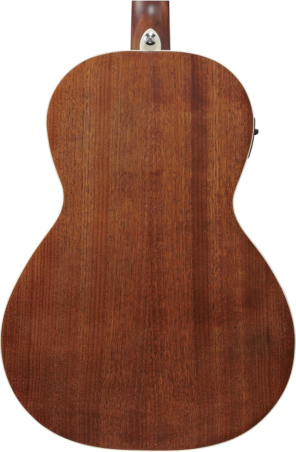 Ibanez PNB14E Acoustic-Electric Bass Guitar - Open Pore Natural Bundle with Gig Bag, Tuner, Strap, Instrument Cable, Austin Bazaar Instructional DVD, and Polishing Cloth