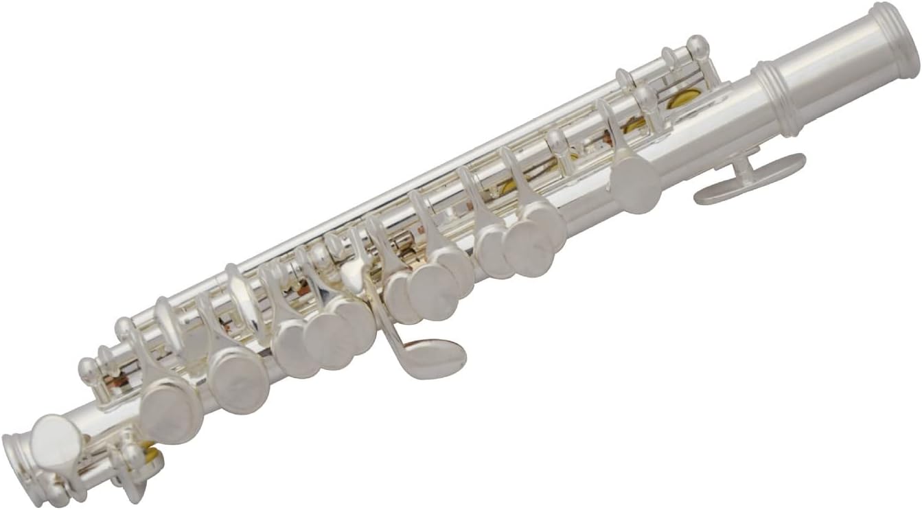 Silver Plated C-Key Piccolo with Box Woodwind Instrument Student Flute