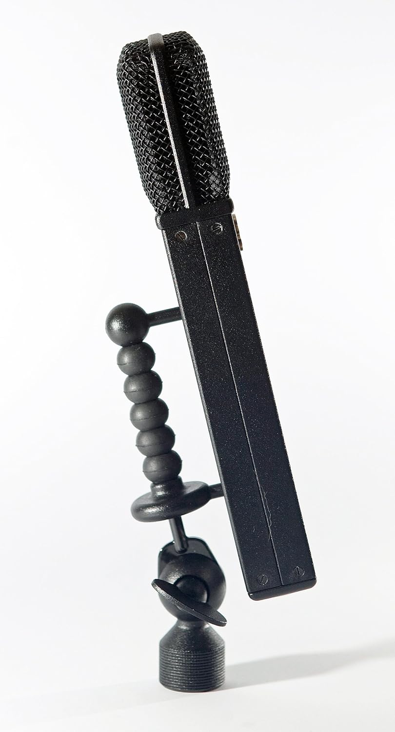 Black Hole Series BH-2 Condenser Microphone, Cardioid