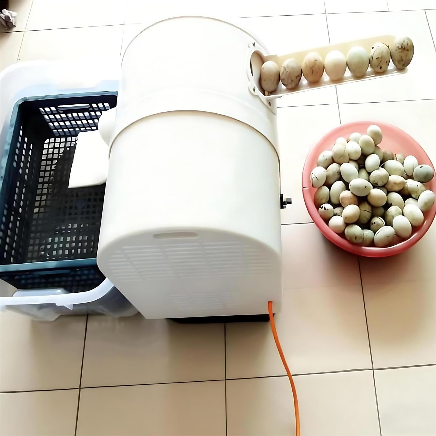 Automatic Egg Washer Machine, Electric Egg Washer Machine with Roller Brush, Egg Cleaning, 2300 Pcs/H Chicken Duck Goose Egg Egg Cleaner Wash Machine