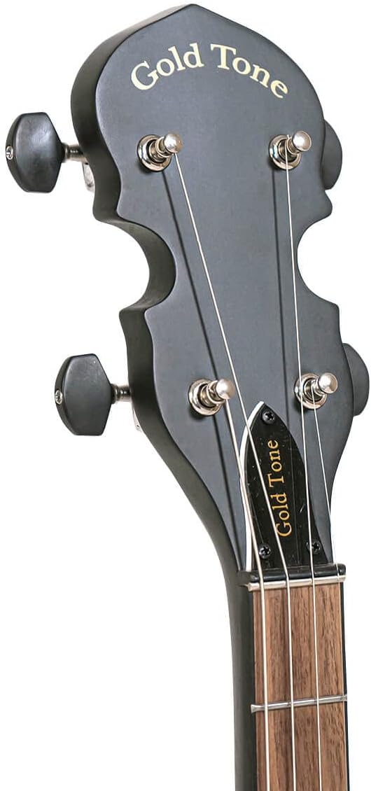 Gold Tone AC-4IT Composite Irish Tenor Banjo