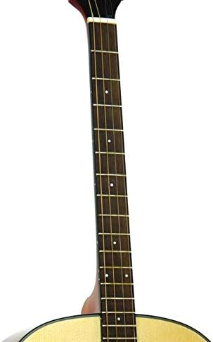 Gold Tone Tenor Acoustic Guitar w/Gig Bag