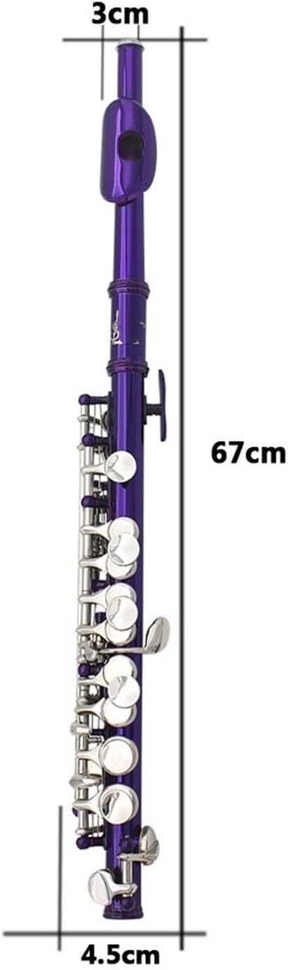 Flutes Purple Piccolo 16 Holes + E Key ​Woodwind Instrument Half-Size Flute Cupronickel with Leather Box