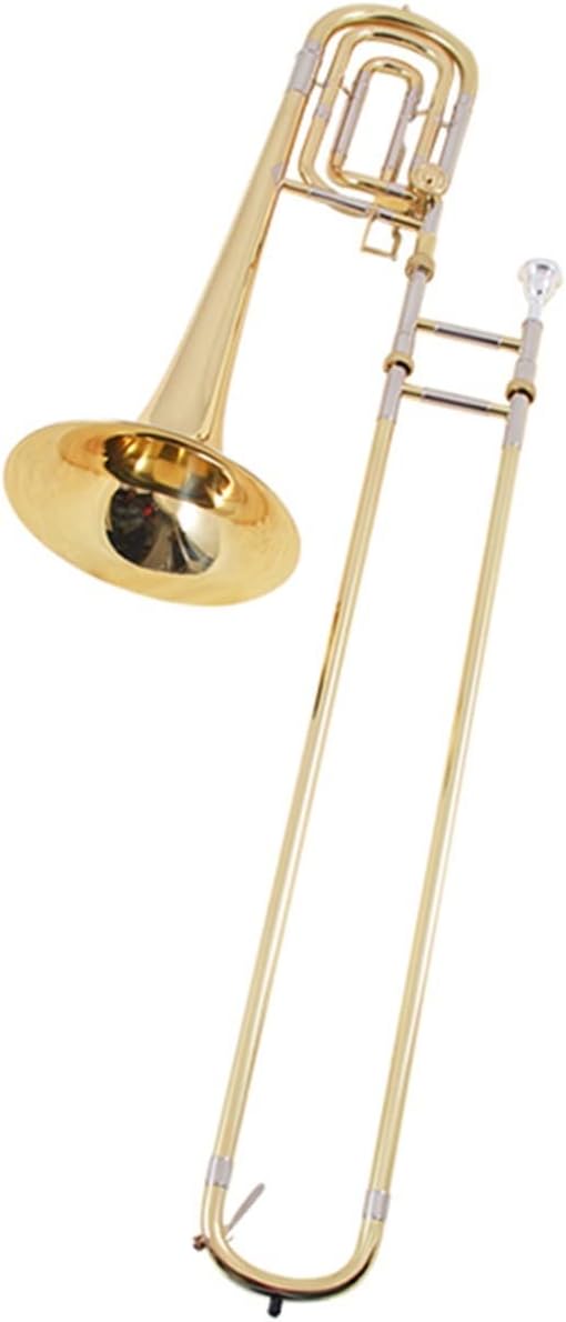 TSTS B Flat to F Bass Trombone Suitable for Students and Beginners Beginner Trombone
