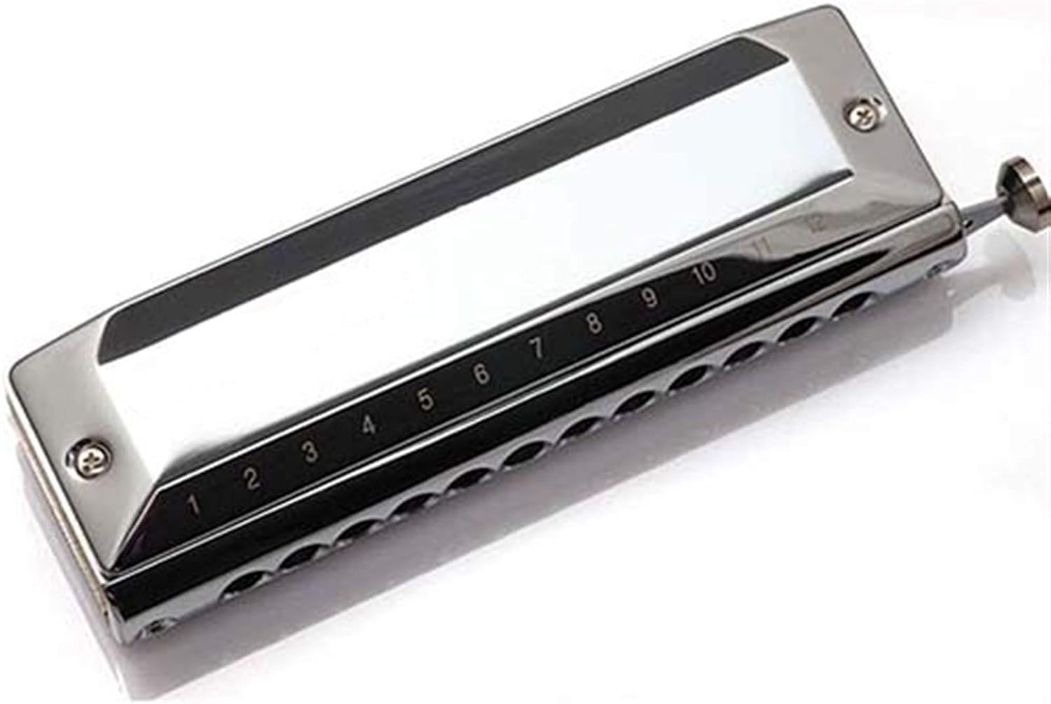 SUOFEILAIMU Chromatic Harmonica Alto Chromatic Harp Lower C 12 Holes Mouth Organ Musical Instruments (Color : T1248Z)