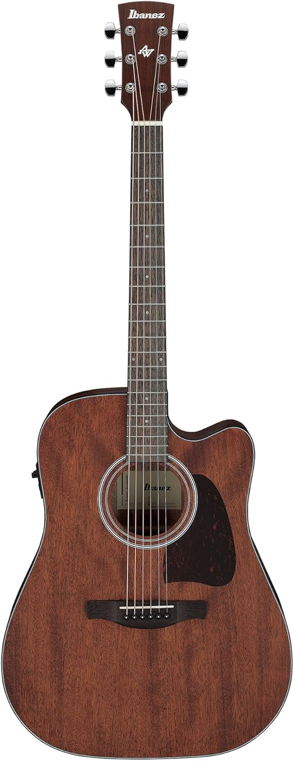 Ibanez AW54CE Artwood Traditional Acoustic-Electric Guitar - Open Pore Natural Bundle with Gig Bag, Tuner, Strap, D'Addario Strings, Picks, Austin Bazaar Instructional DVD, and Polishing Cloth