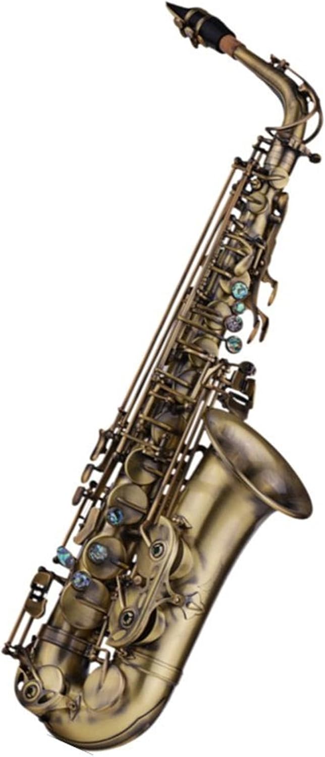 EB E-Flat Alto Saxophone Sax Shell Key Carve Pattern Woodwind Instrument with Case Other Accessories