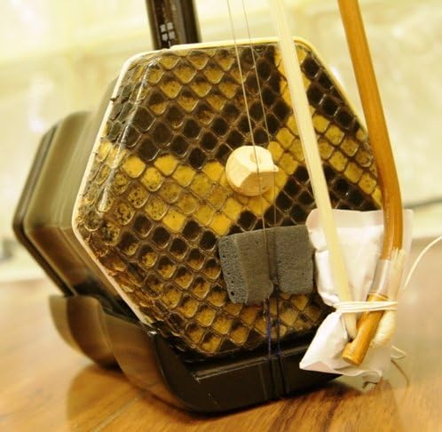 Concert Dunhuang Erhu Chinese 2-string Violin Fiddle Musical Instrument