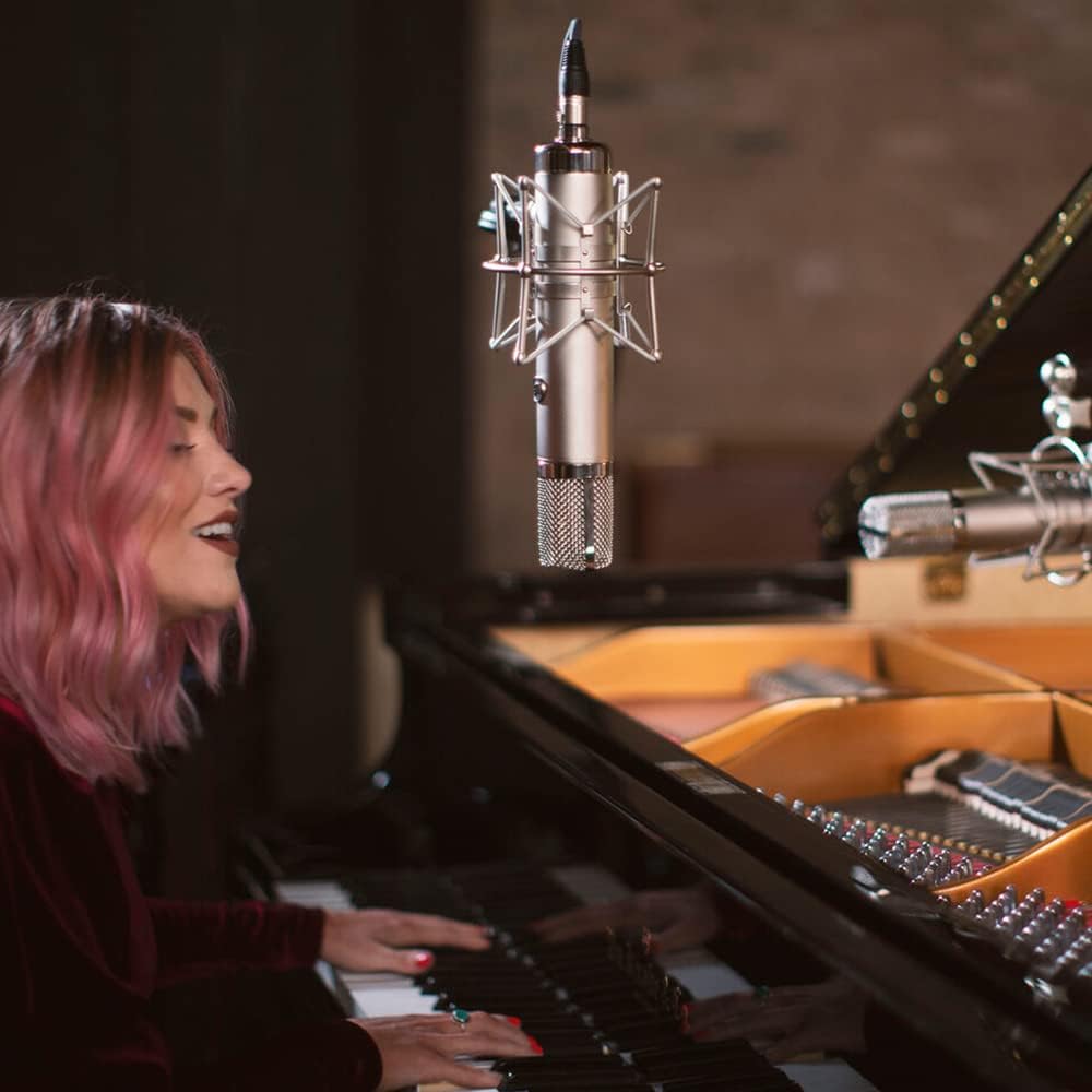 Warm Audio WA-CX12 Large-Diaphragm 9-Pattern Tube Condenser Microphone Bundle with Auray MS-5230F Tripod Mic Stand with Fixed Boom