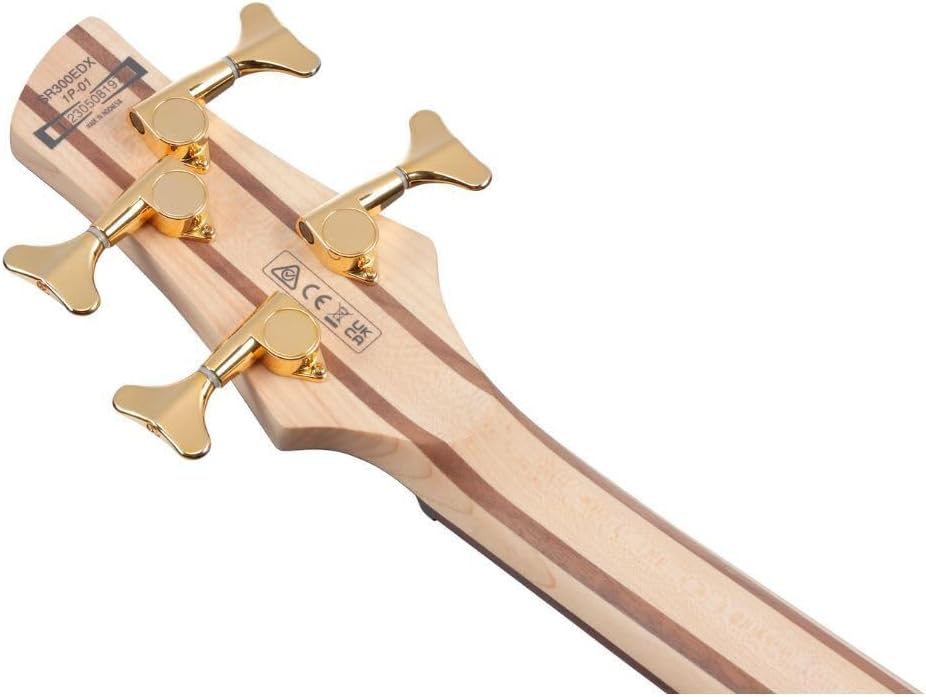 Ibanez SR Standard 4-string Electric Bass - Black Ice Frozen Matte