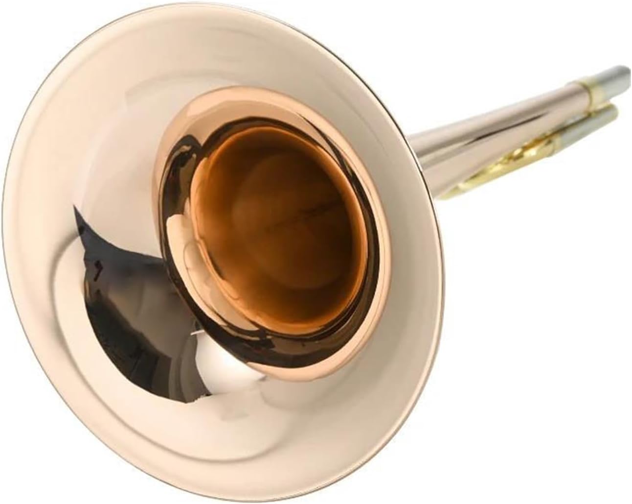 Adult Trombone Instrument Bb F Tenor Slide Trombone Phosphor Bronze Gold Lacquer Instrument