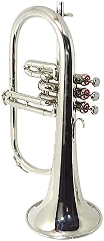 Bb Flat SILVER NICKLE Flugel Horn With Free Hard Case+Mouthpiece