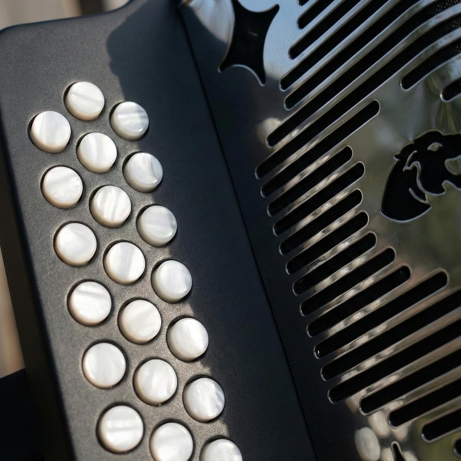 Hohner Panther Diatonic Accordion - Keys F/Bb/Eb Bundle with Hard Case and Austin Bazaar Polishing Cloth