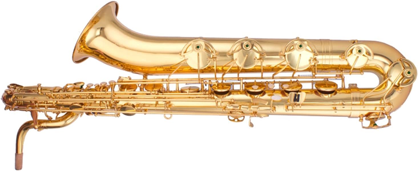 Sax Beginners Kit Baritone E Flat Saxophone Brass Black Nickel Plated Sax Musical Instruments with Mouthpiece Case Wind Instrument (Color : Electrophoresis Gold)