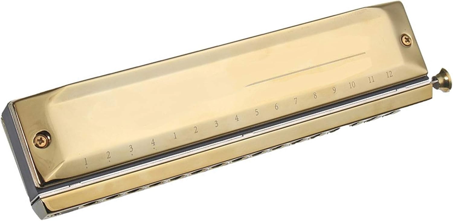 Folk Instruments Chromatic Harmonica 16 Holes 64 Tones Mouth Organ Instrumentos Key C Professional Chromatic Harp Musical Instruments (Color : Silver)