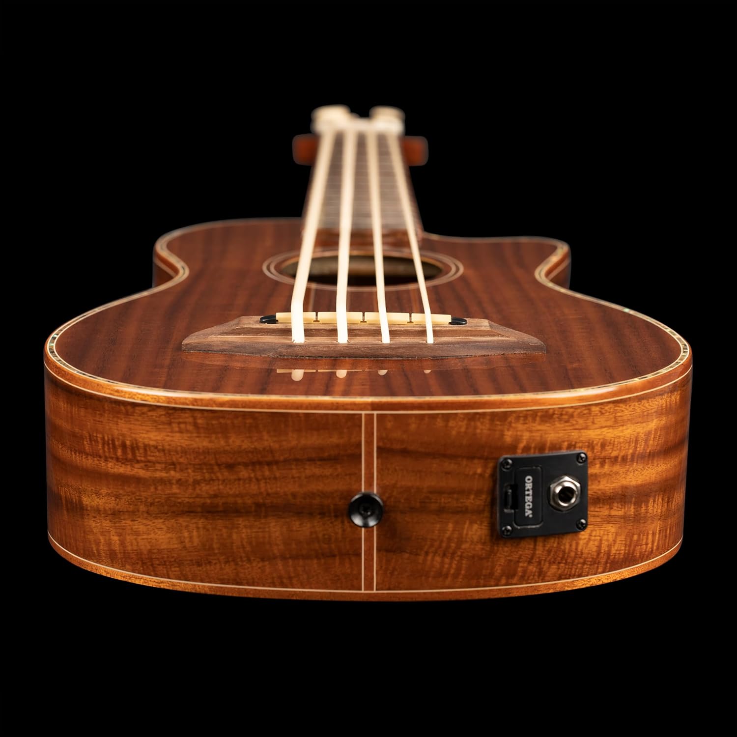 Lizard Series Acoustic-Electric Uke-Bass w/Bag