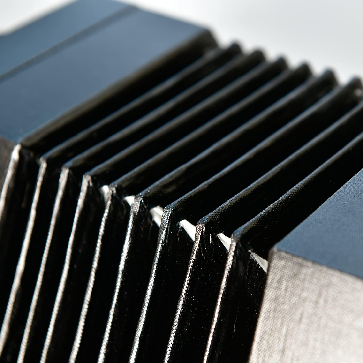 Trinity College AP-1130A Anglo-Style Concertina – 30-Button, Black Finish – Traditional Folk Instrument with 1½ Octave Range, Bellows, and Carrying Bag